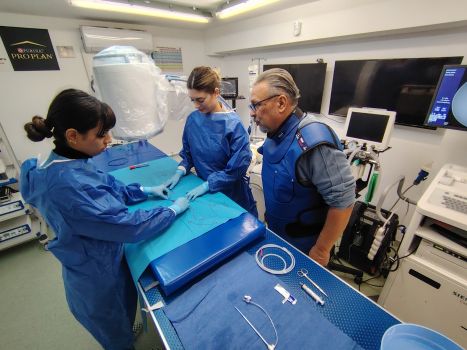 Teaching young and brilliant students